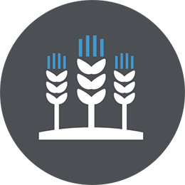 Landwirtschaft